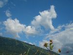 Photo albulle/data/photos/Tour 2005/Martin - Ancel/CIMG0526.JPG