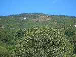 Photo albulle/data/photos/Tour 2005/Martin - Ancel/CIMG0618.JPG
