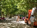 Photo albulle/data/photos/Tour 2005/Martin - Ancel/CIMG0720.JPG