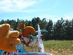 Photo albulle/data/photos/Tour 2005/Martin - Ancel/CIMG0758.JPG