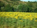 Photo albulle/data/photos/Tour 2005/Martin - Ancel/CIMG0790.JPG