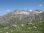 Photo albulle/data/photos/Aurelie - RMC/IMG_0788.jpg
